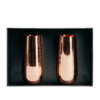 Copper Champagne - The Wine queen emporium