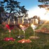 Glass On The Grass Wine Lovers Collection - The Wine Queen Emporium