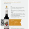 Sauvignon Margaret River 2020 - The Wine queen emporium